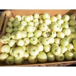 ! NOUVEAU !  POMME "d'AOÛT"...