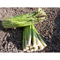 ASPERGES vertes BIO -...