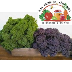 CHOU FRISE (Kale)  - ALMDCN