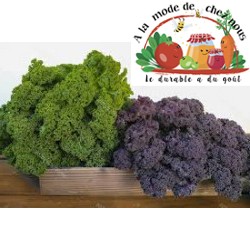 TÊTE DE CHOU FRISE (Kale)...