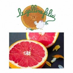 PAMPLEMOUSSE ROSE BIO (par...