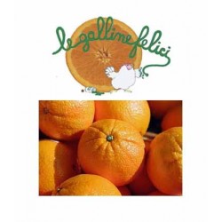 !  NOUVEAU  !  ORANGE  BIO...