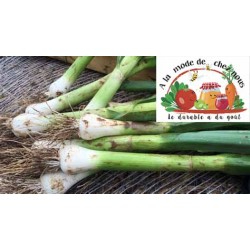 AIL FRAIS  bio ALMDCN (BOTTE)