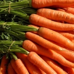 CAROTTES Bio vrac (par Kg)...