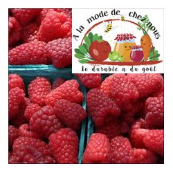 ! NOUVEAU !  FRAMBOISES...