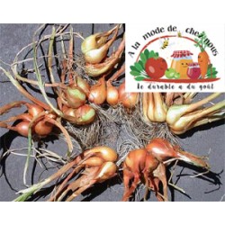 ECHALOTES BIO EN botte  -...