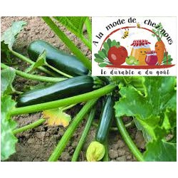 COURGETTES VERTE BIO limité...