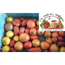 TOMATES Bio en mélange...