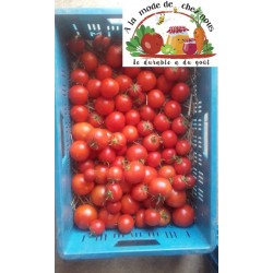 ! ACTION !  TOMATES Rouges...
