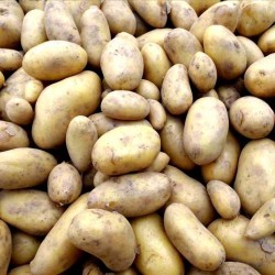 PDT NOUVELLES  BIO Ferme...