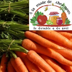 CAROTTES VRAC  BIO (KG) - BE