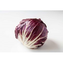 RADICCHIO (pc)