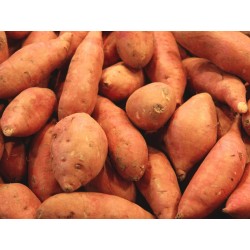 PATATE DOUCE BIO  nouvelle...
