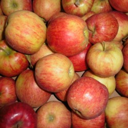 Pomme NATYRA Bio (par kg)