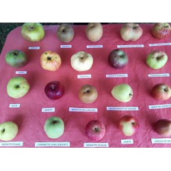 !  NOUVEAU  !  POMMES Bio...