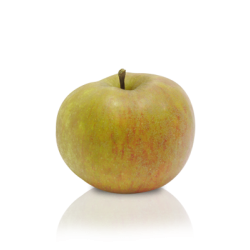 ! NOUVEAU !  Pomme BOSKOOP...