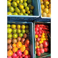 !  ACTION  !  TOMATES BIO...