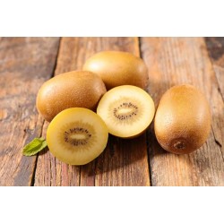 KIWI JAUNE BIO (500gr)